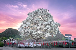 密云区新城子镇:山水为脉,古韵新生541.png