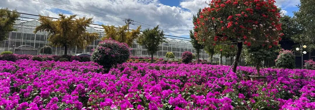 undefined 赵全营镇.jpg